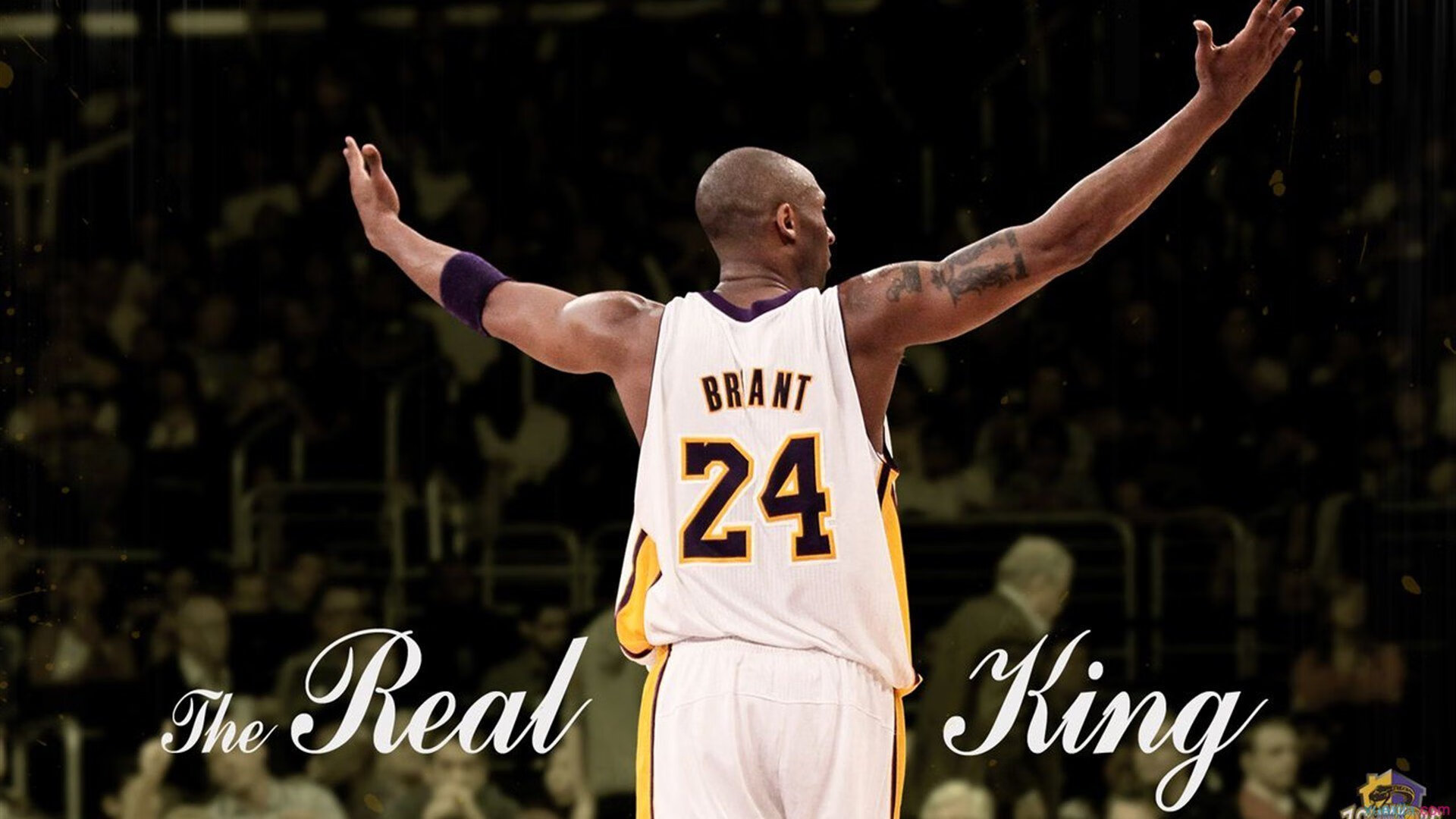 热火强压广厦队，爱德华兹表现堪称教科书